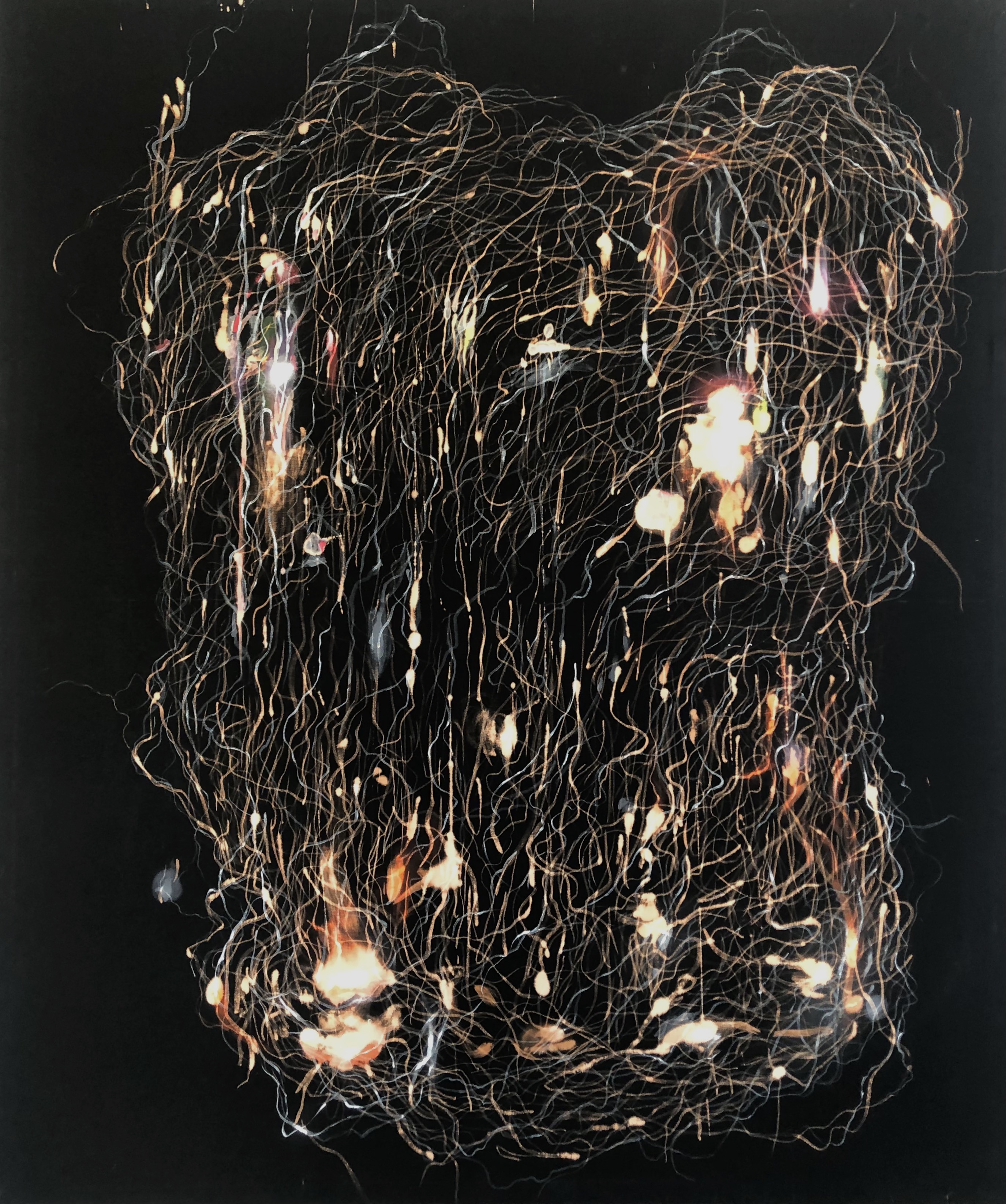 "Mycelium Disposition; Bleached Veins" 